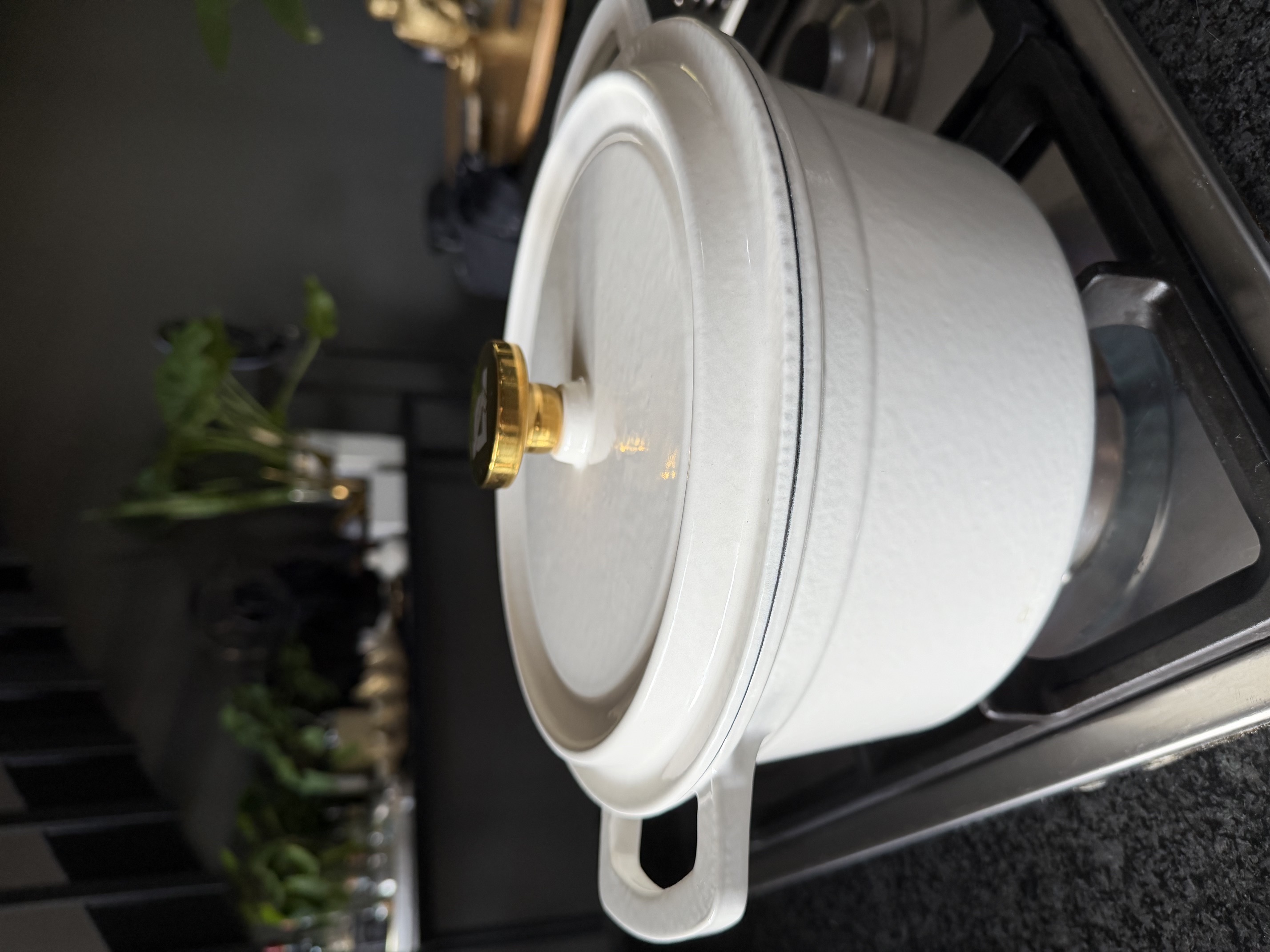 PSI Luxury Living cast-iron cookware